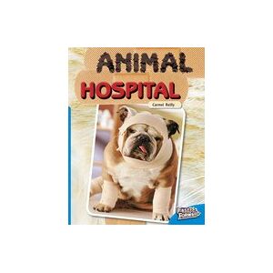 Fast Forward Blue: Animal Hospital (Non-fiction) Level 10