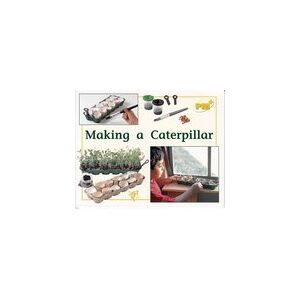 PM Yellow: Making a Caterpillar (PM Plus Non-fiction) Levels 8, 9 x 6