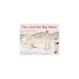 PM Yellow: Tiny and the Big Wave (PM Storybooks) Level 8