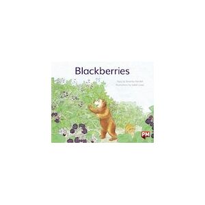PM Yellow: Blackberries (PM Storybooks) Level 6
