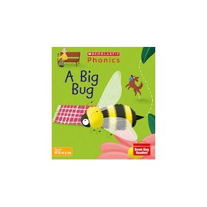 A Big Bug (Set 3) x6 Pack Matched to Little Wandle Letters and Sounds Revised