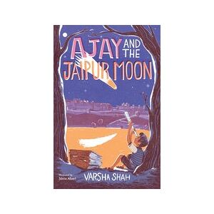 Ajay and the Jaipur Moon