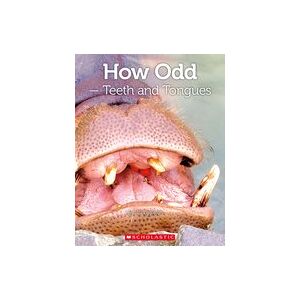 Connectors Silver: How Odd - Teeth and Tongues (6 Copies) Connectors Silver: How Odd - Teeth and Tongues (6 Copies)