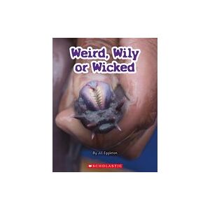 Connectors Silver: Weird, Wily or Wicked (6 Copies) Connectors Silver: Weird, Wily or Wicked (6 Copies)