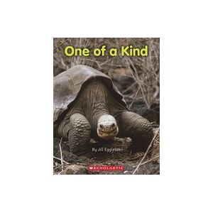 Connectors Turquoise: One of a Kind (6 Copies) Connectors Turquoise: One of a Kind (6 Copies)