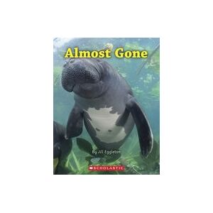 Connectors Turquoise: Almost Gone (6 Copies) Connectors Turquoise: Almost Gone (6 Copies)