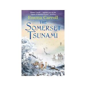 The Somerset Tsunami The Somerset Tsunami