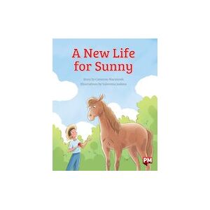 PM Silver: A New Life for Sunny (PM Storybooks) Level 23 PM Silver: A New Life for Sunny (PM Storybooks) Level 23