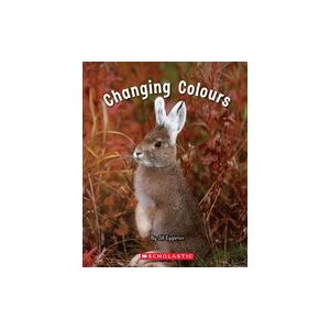 Connectors Starters: Connectors: Changing Colours (Blue Pack) 7 Book Set Connectors Starters: Connectors: Changing Colours (Blue Pack) 7 Book Set