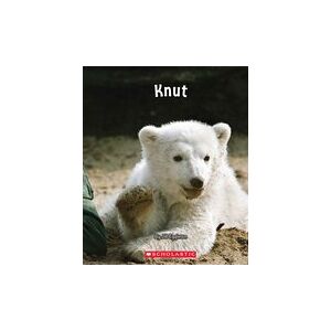 Connectors Starters: Connectors: Knut (Orange Pack) 7 Book Set Connectors Starters: Connectors: Knut (Orange Pack) 7 Book Set