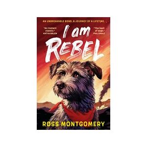 I Am Rebel I Am Rebel