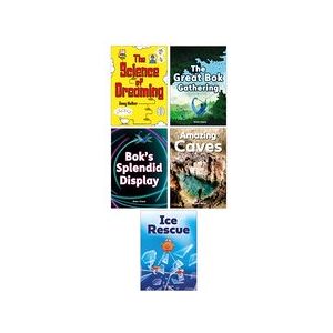 Striders Phonics Readers Phase 5 Mixed 10 Book Set Striders Phonics Readers Phase 5 Mixed 10 Book Set