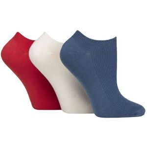 Women's 3 Pair SOCKSHOP Patterned, Striped, Plain, Ribbed and Mesh Bamboo Trainer Socks Nautical Ribbed 4-8 - Assorted - Size: Small Women's 3 Pair SOCKSHOP Patterned, Striped, Plain, Ribbed and Mesh Bamboo Trainer Socks Nautical Ribbed 4-8 - Assorted - Size: Small