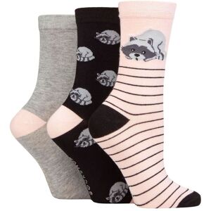 Women's 3 Pair SOCKSHOP Lazy Panda Novelty Bamboo Socks Racoon 4-8 - Multi Coloured - Size: Small Women's 3 Pair SOCKSHOP Lazy Panda Novelty Bamboo Socks Racoon 4-8 - Multi Coloured - Size: Small