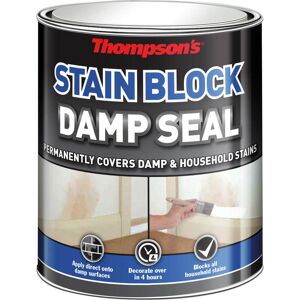 Ronseal Thompsons Damp Seal White 250ml