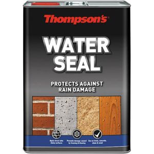 Ronseal Thompsons Water Seal 5l