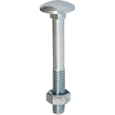 TIMco - 10100CBSSP - Stainless - 10x100mm - Carriage Bolt TIMco - 10100CBSSP - Stainless - 10x100mm - Carriage Bolt