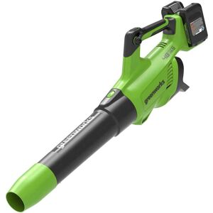 Greenworks GD24X2AB 48v Cordless Axial Leaf Blower 2 x 2ah Li-ion Battery Charger Greenworks GD24X2AB 48v Cordless Axial Leaf Blower 2 x 2ah Li-ion Battery Charger