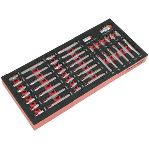 Sealey Premier 44 Piece 10mm Hex Shank Screwdriver Bit Set in Module Tray Sealey Premier 44 Piece 10mm Hex Shank Screwdriver Bit Set in Module Tray