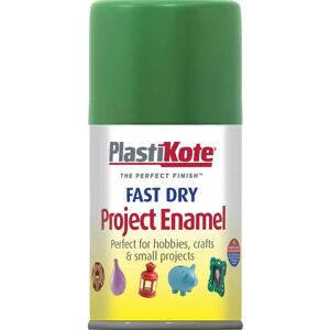 PlastiKote Plasti-Kote PKT104S Garden Green Fast Dry Enamel Aerosol - Enamel Spray Paint PlastiKote Plasti-Kote PKT104S Garden Green Fast Dry Enamel Aerosol - Enamel Spray Paint
