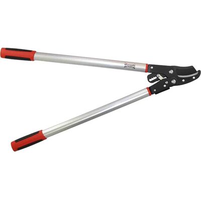 Wilkinson Sword Ratchet Anvil Loppers 770mm Wilkinson Sword Ratchet Anvil Loppers 770mm
