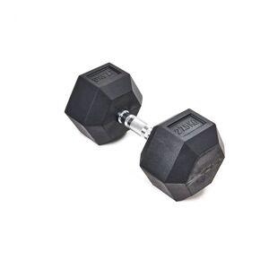 Athletic Vision Hex Dumbbell 27.5kg