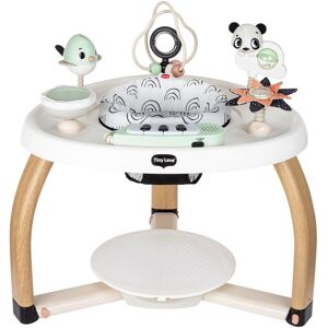 Tiny Love 5-in-1 Here I Grow Stationary Activity Center