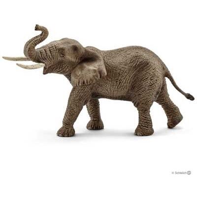African Elephant, Male African Elephant, Male