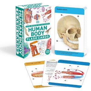 DK Our World in Pictures Human Body Flash Cards