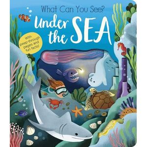 Molly Littleboy What Can You See? Under the Sea