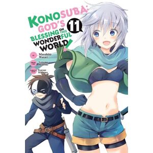 Kevin Steinbach Konosuba: God's Blessing on This Wonderful World!, Vol. 11 (manga)