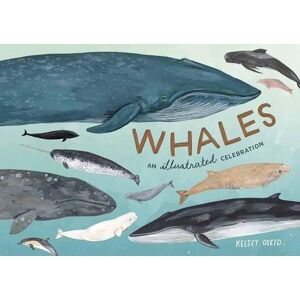 Kelsey Oseid Whales Kelsey Oseid Whales