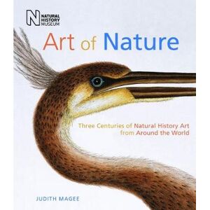 Judith Magee Art of Nature Judith Magee Art of Nature