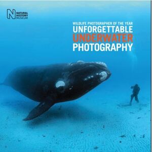 Rosamund Kidman Cox Wildlife Photographer of the Year: Unforgettable Underwater Photography Rosamund Kidman Cox Wildlife Photographer of the Year: Unforgettable Underwater Photography