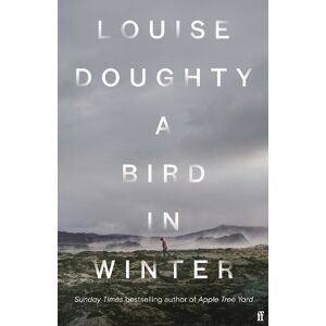 Louise Doughty A Bird in Winter Louise Doughty A Bird in Winter