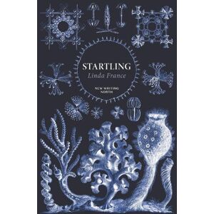 Linda France Startling Linda France Startling