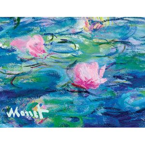 Claude Monet Monet Waterlilies Portfolio Notes Claude Monet Monet Waterlilies Portfolio Notes