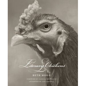 Beth Moon Literary Chickens Beth Moon Literary Chickens