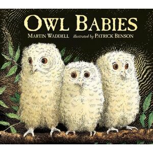 Martin Waddell Owl Babies Martin Waddell Owl Babies