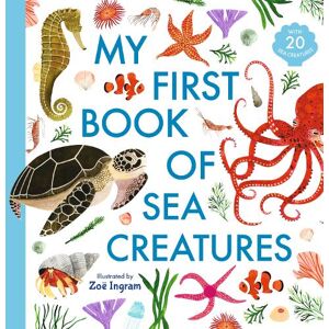 Zoë Ingram My First Book of Sea Creatures Zoë Ingram My First Book of Sea Creatures