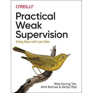 Wee Hyong Tok Practical Weak Supervision Wee Hyong Tok Practical Weak Supervision
