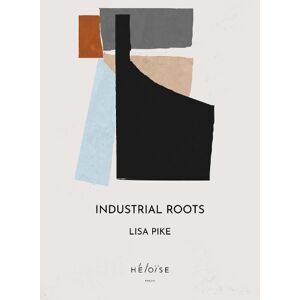 Lisa Pike Industrial Roots Lisa Pike Industrial Roots