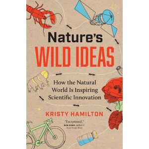 Kristy Hamilton Nature's Wild Ideas Kristy Hamilton Nature's Wild Ideas