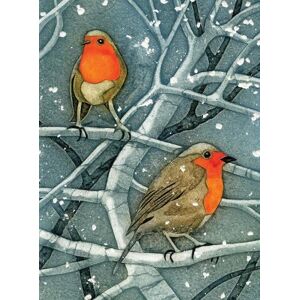 Wild Birds Pocket Notebook: Robin Wild Birds Pocket Notebook: Robin