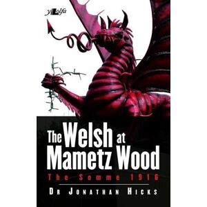 Jonathan Hicks Welsh Of Mametz Wood The Somme 1916 Jonathan Hicks Welsh Of Mametz Wood The Somme 1916