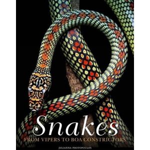 Julianna Photopoulos Snakes Julianna Photopoulos Snakes