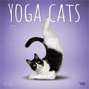 2026 Yoga Cats Wall Calendar 2026 Yoga Cats Wall Calendar