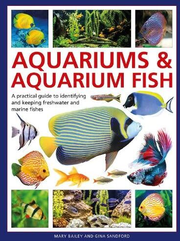 Mary Bailey Aquariums & Aquarium Fish