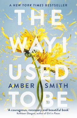 Amber Smith The Way I Used to Be
