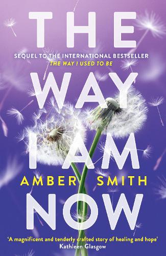 Amber Smith The Way I Am Now